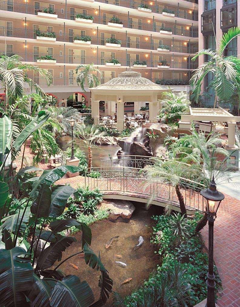 Embassy Suites Dallas - Dfw International Airport South Ирвинг Интерьер фото